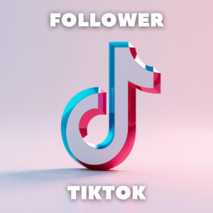 comprare follower tiktok